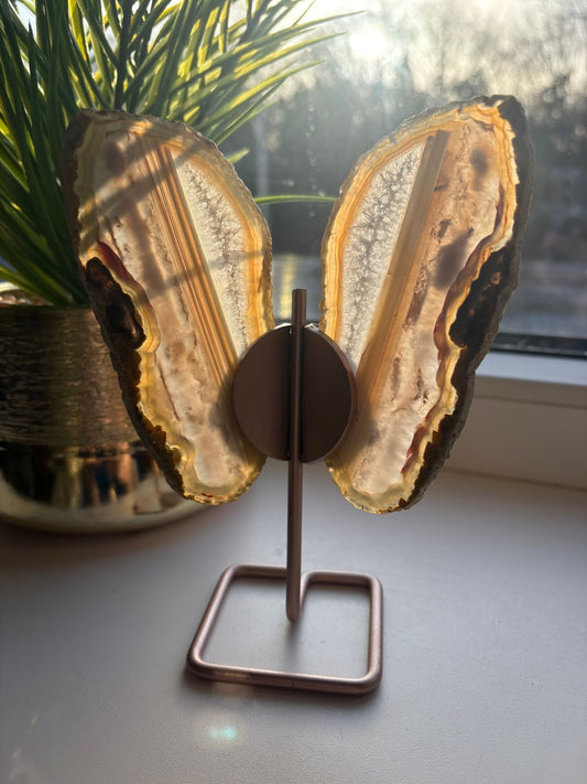 Agaat vlinder op standaard