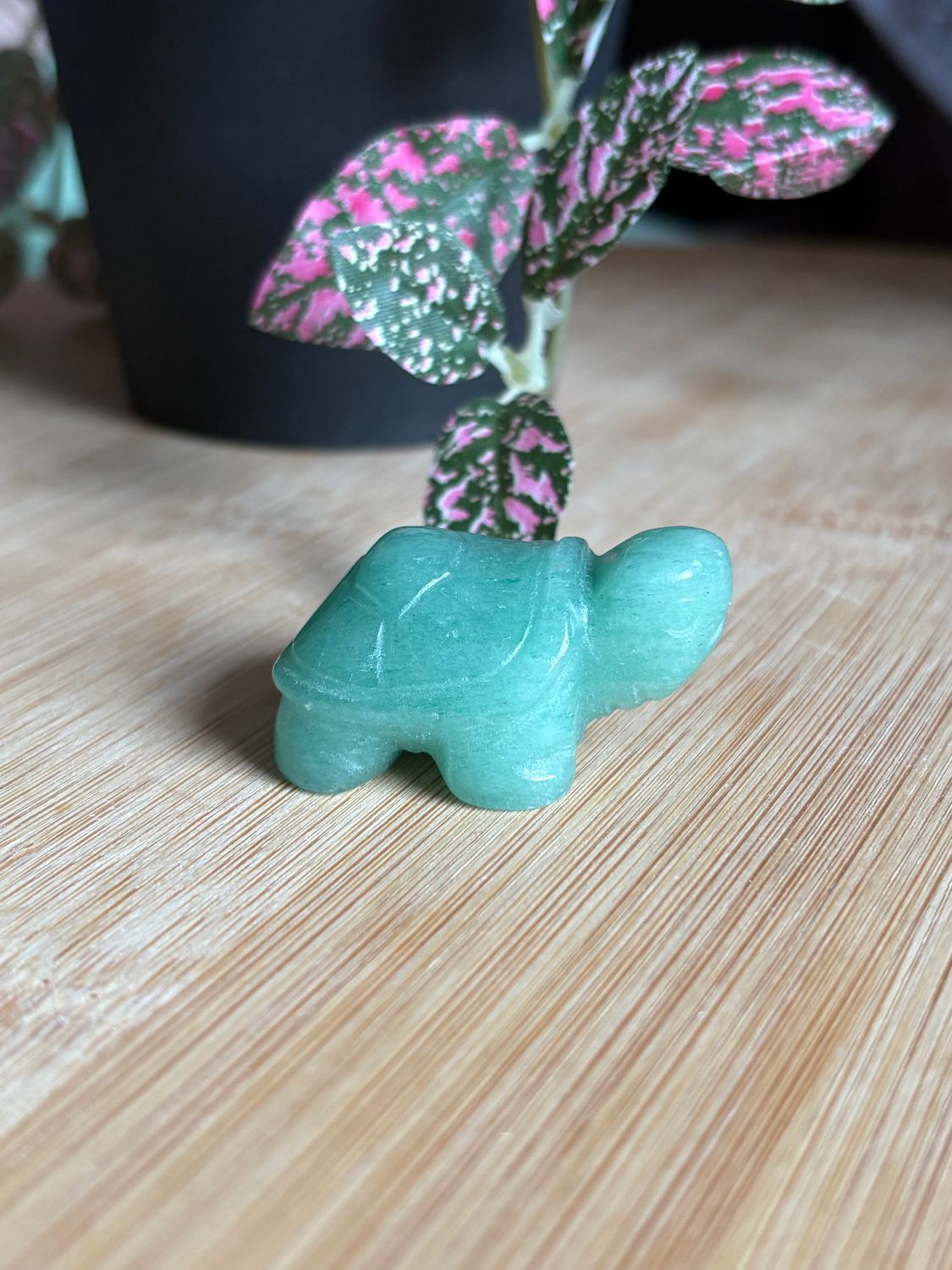 Schildpad figuurtjes