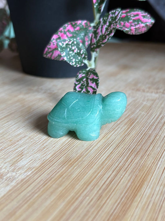 Schildpad figuurtjes