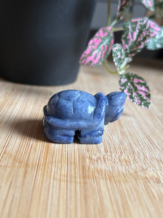Schildpad figuurtjes