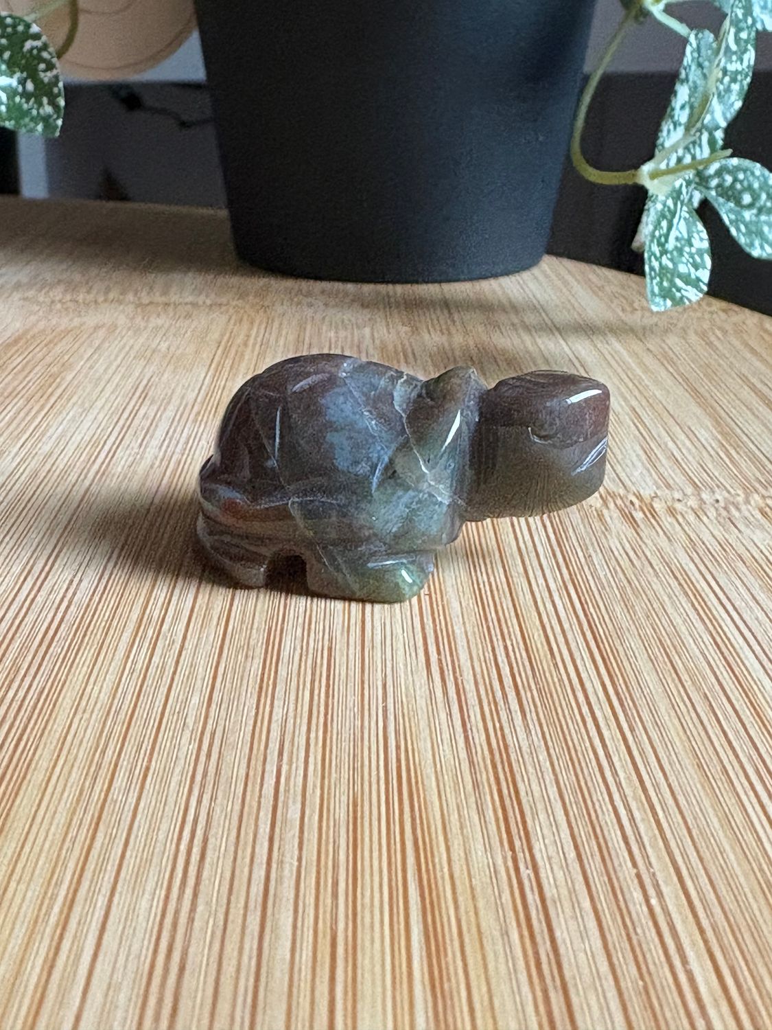 Schildpad figuurtjes